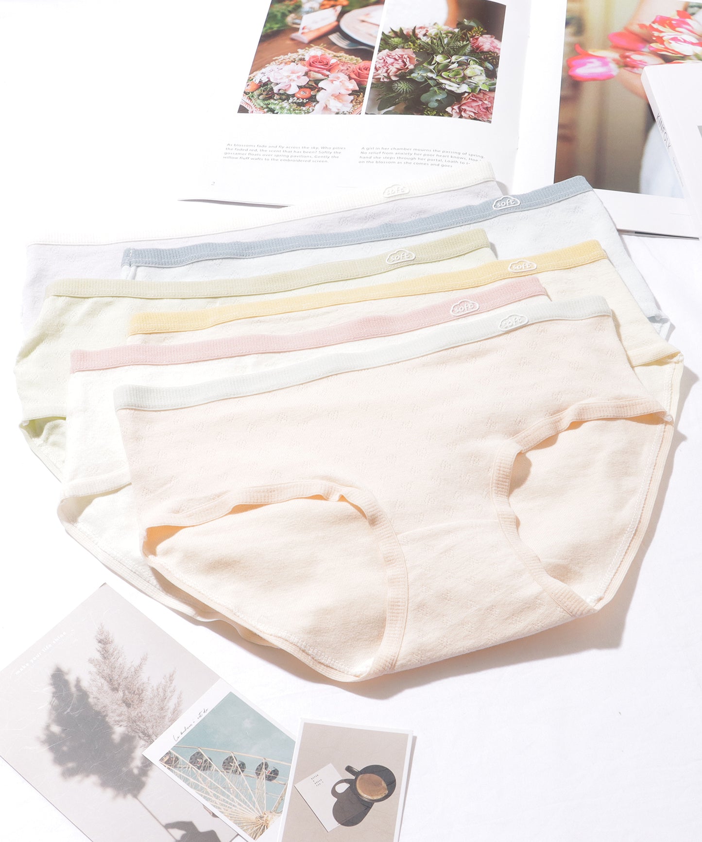 【6枚セット】 配色 コットン ソフト ベーシック ショーツ