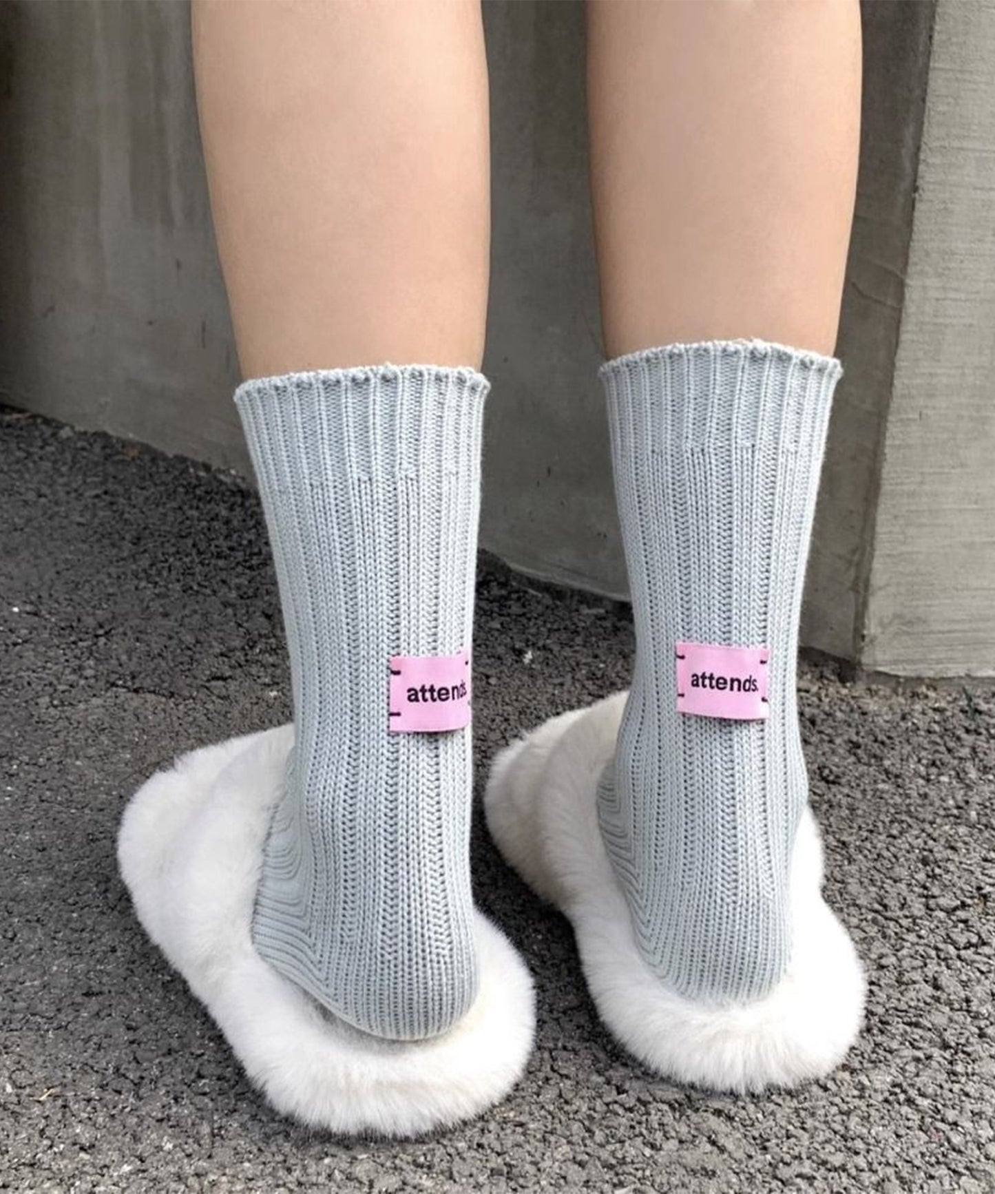 【6足セット】バック タグ付き ソリッドカラー リブ クルー ソックス