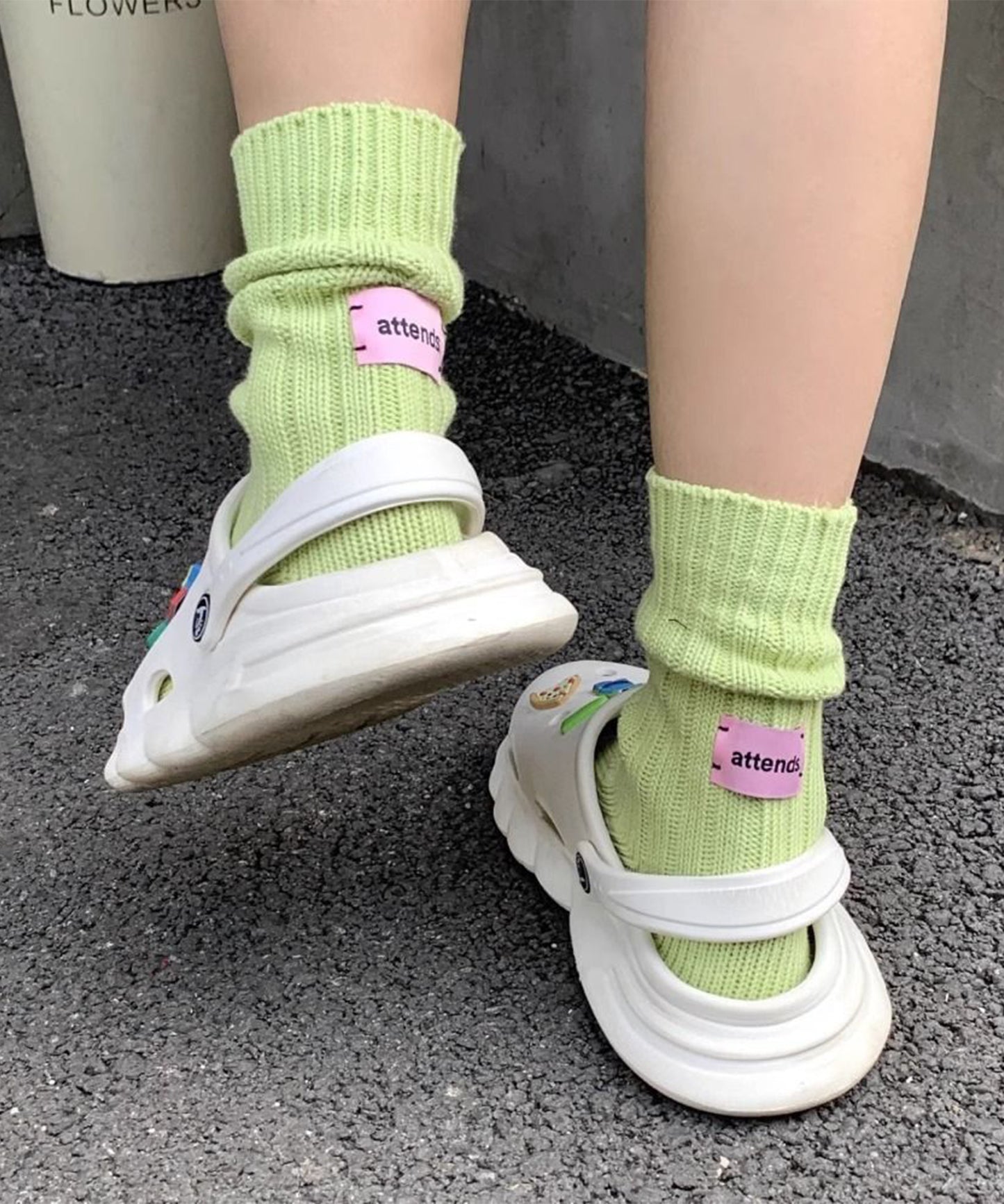 【6足セット】バック タグ付き ソリッドカラー リブ クルー ソックス