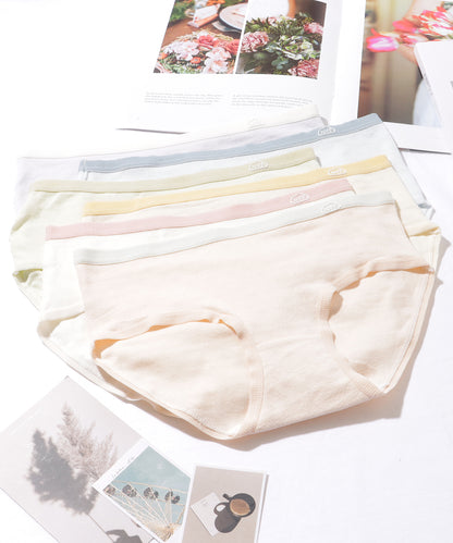 【6枚セット】 配色 コットン ソフト ベーシック ショーツ