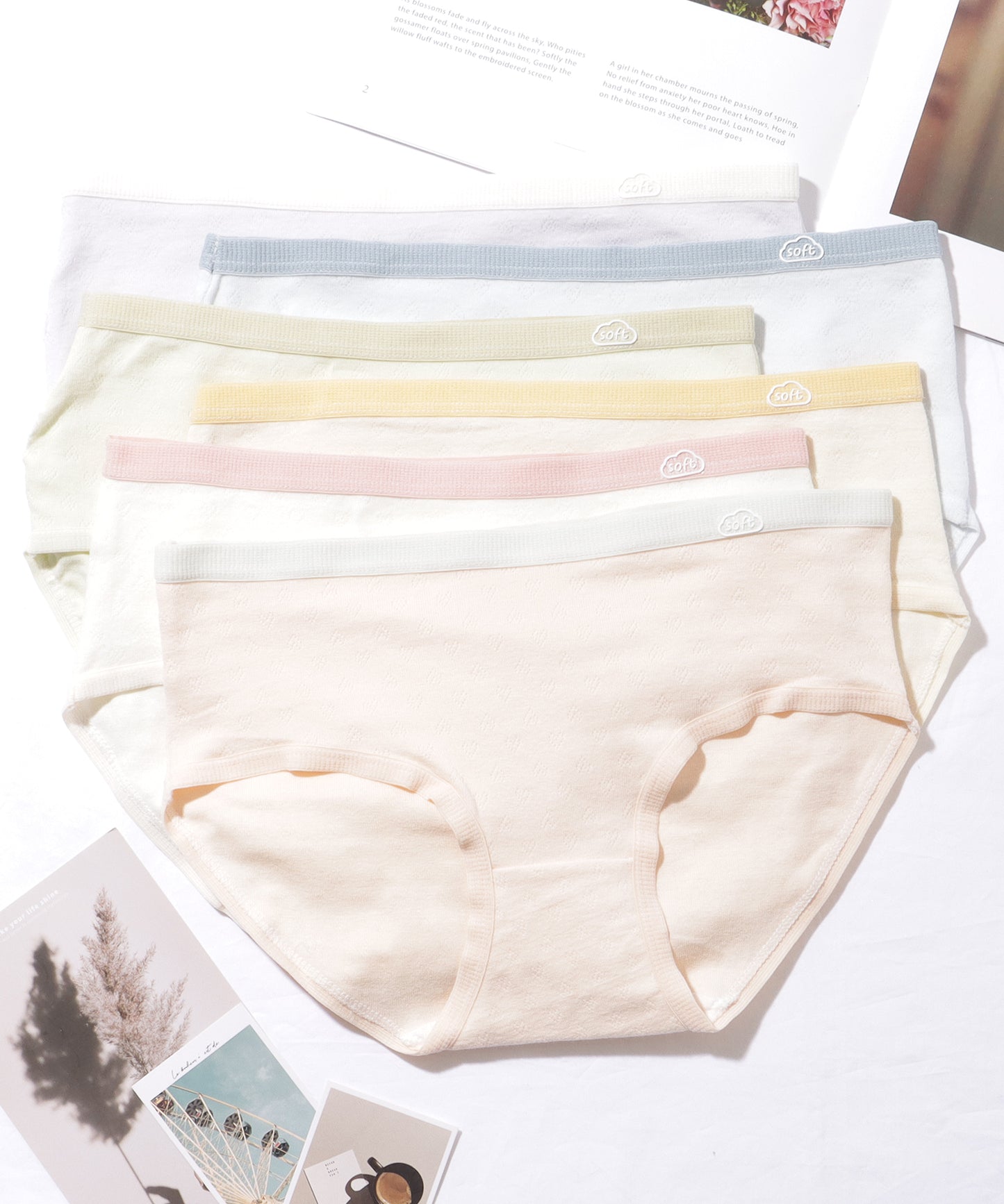 【6枚セット】 配色 コットン ソフト ベーシック ショーツ