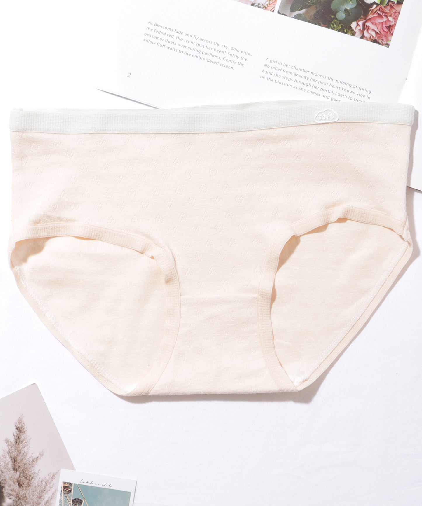 【6枚セット】 配色 コットン ソフト ベーシック ショーツ