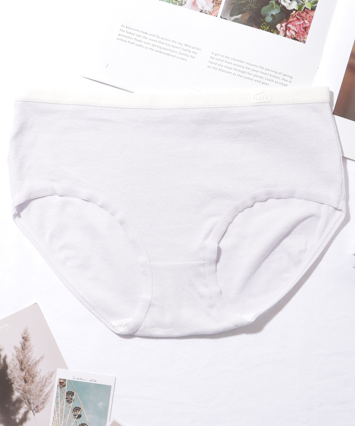 【6枚セット】 配色 コットン ソフト ベーシック ショーツ