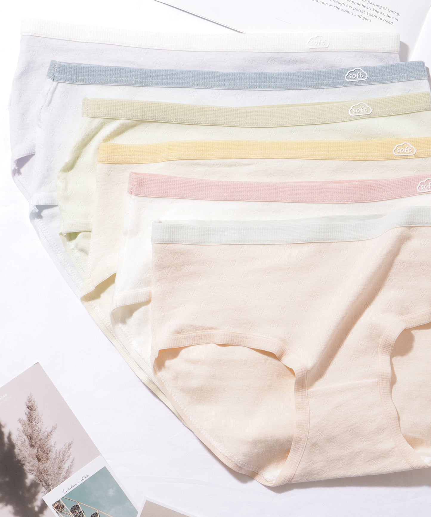 【6枚セット】 配色 コットン ソフト ベーシック ショーツ