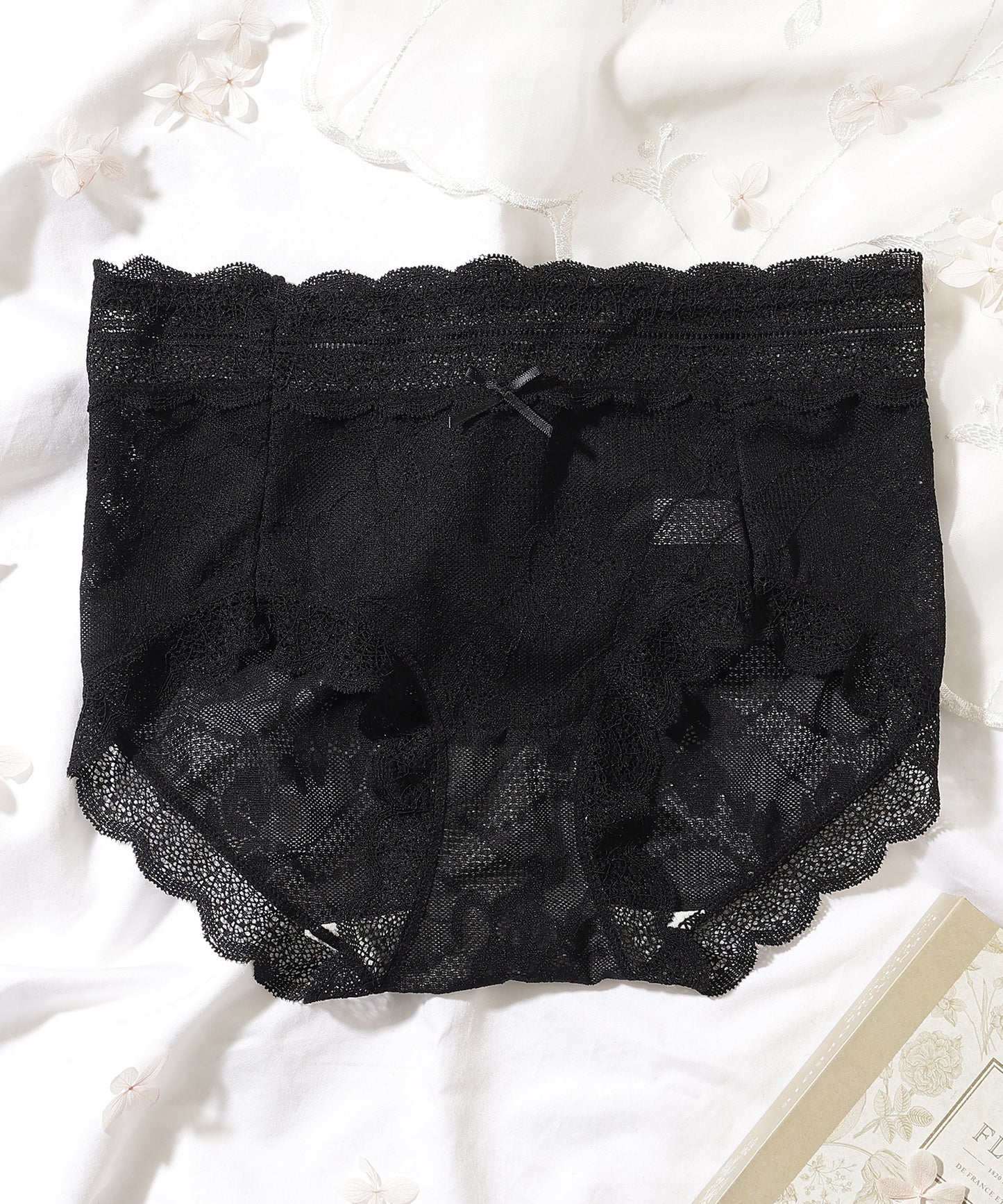 【6枚セット】ソリッドカラー スカラップ 総レース ショーツ