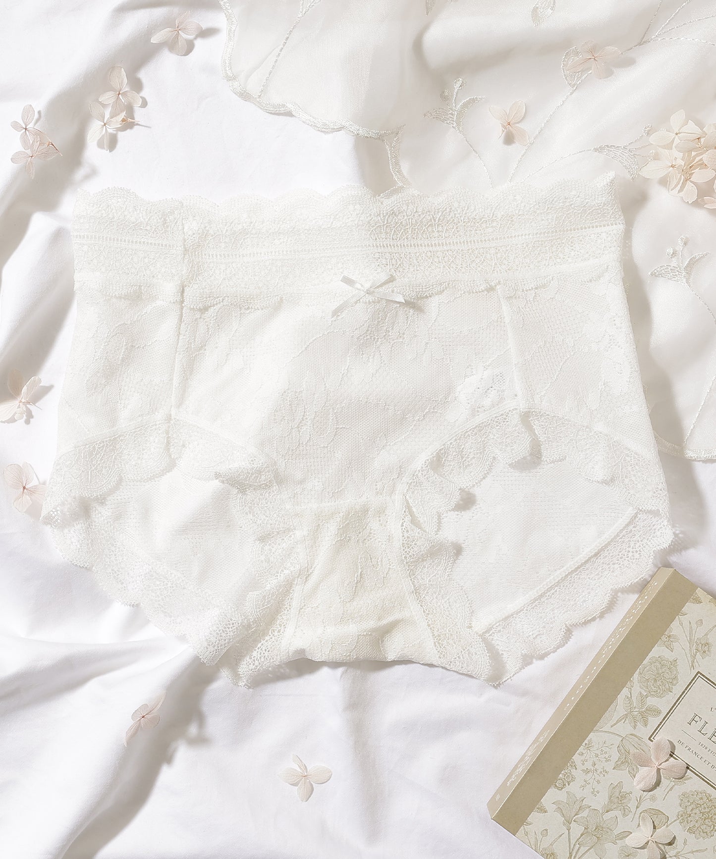 【6枚セット】ソリッドカラー スカラップ 総レース ショーツ