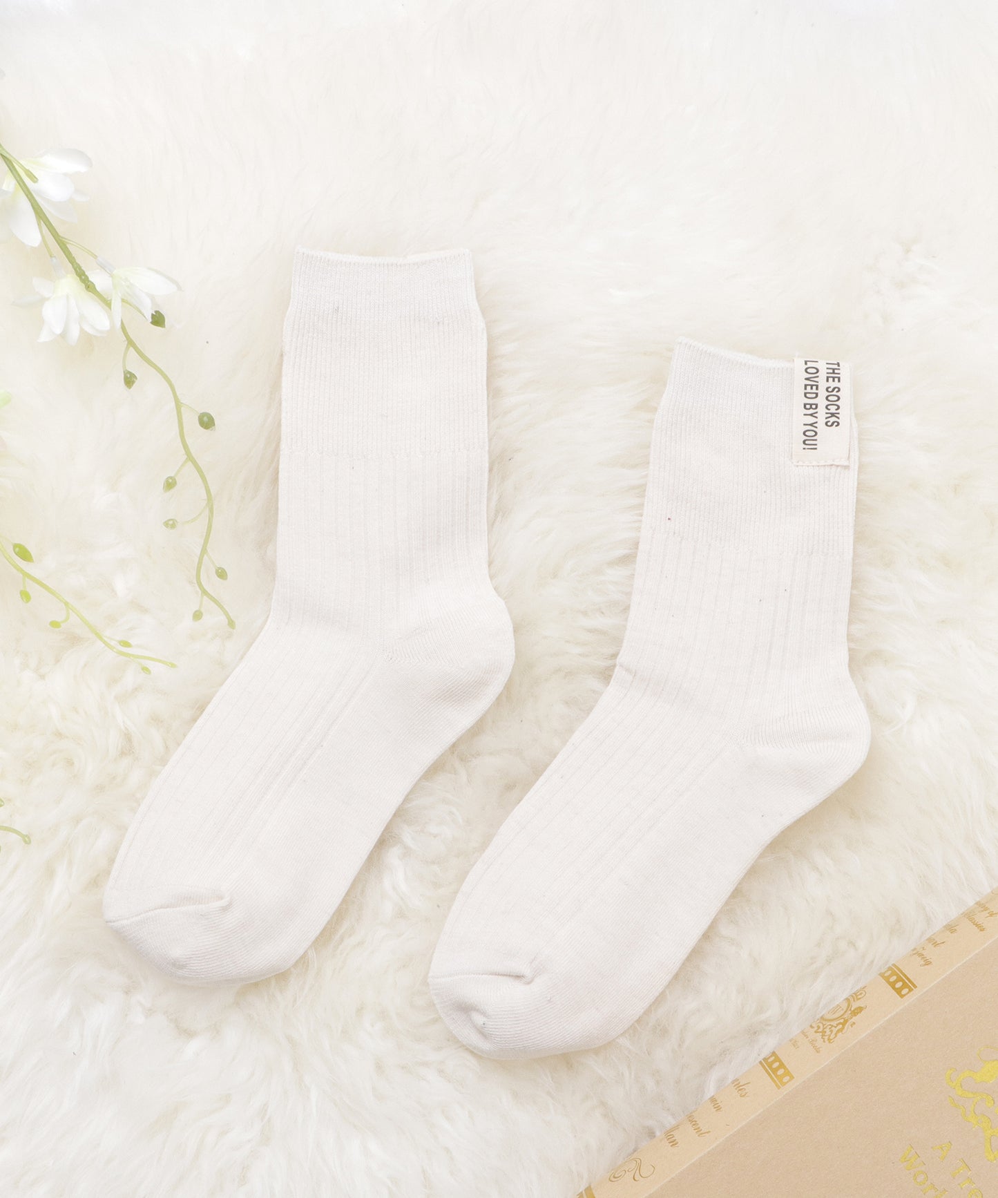 【5色組】タグデザインクルーソックスセット