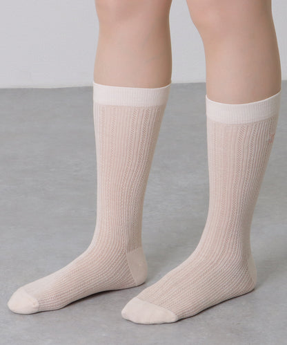 【5足セット】 リボン 刺繍付き レース クルー丈 ソックス
